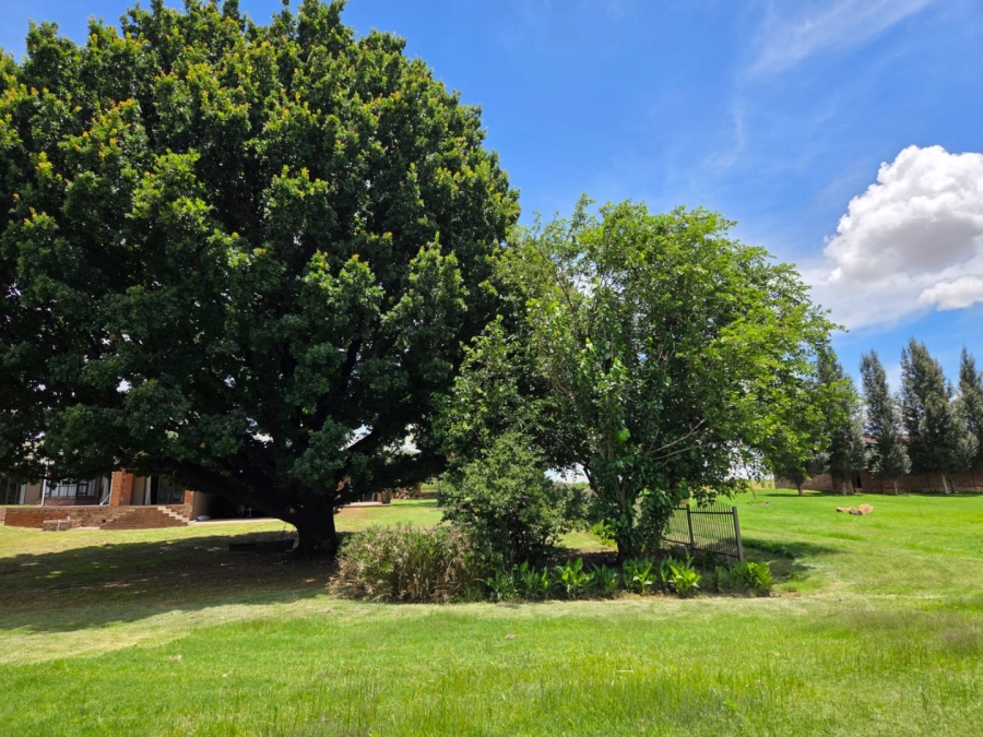 4 Bedroom Property for Sale in Wolmaransstad Rural North West